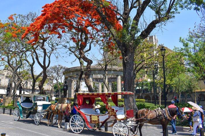 Guadalajara Private Wanderung