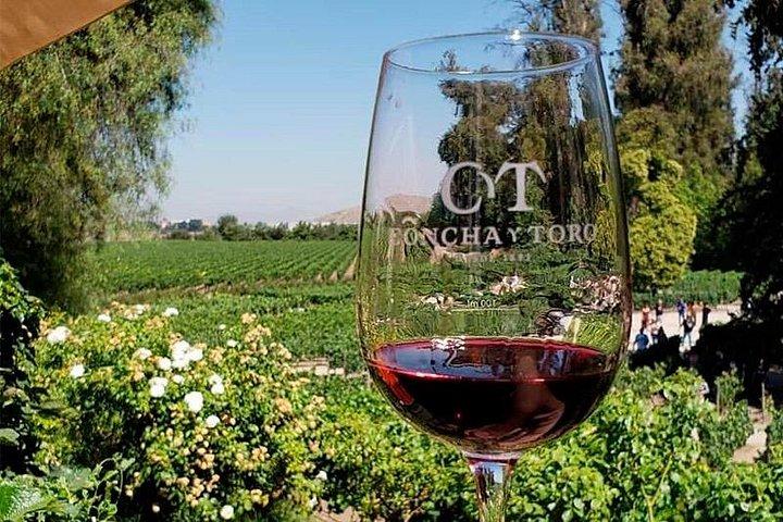 Concha y Toro Vineyard Tour From Santiago