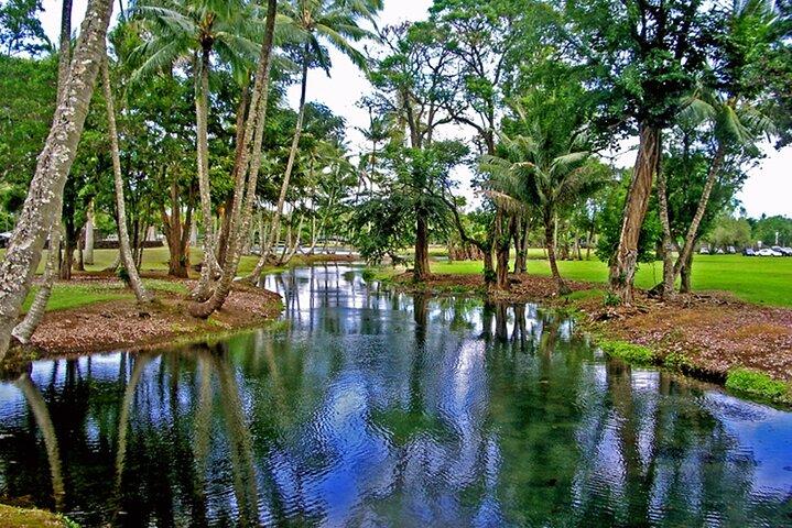 Tour della città di Hilo Esperienza Hop on Hop off