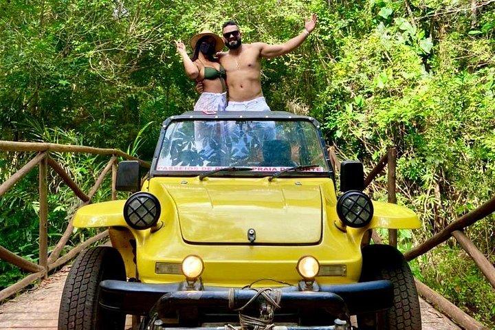 サルバドールからプライアドゥフォルテとプライアデグラルジュバへのプライベートツアー
