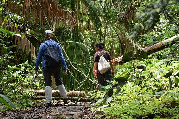 Sinharaja Rain Forest Tour from Hambantota