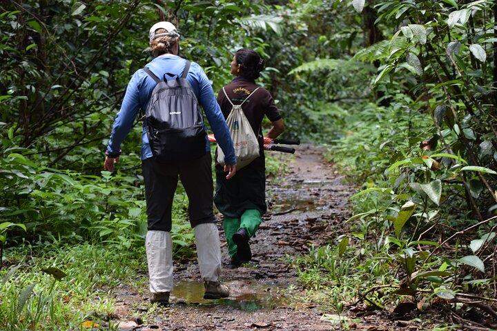Tour durch den Sinharaja-Regenwald ab Bentota