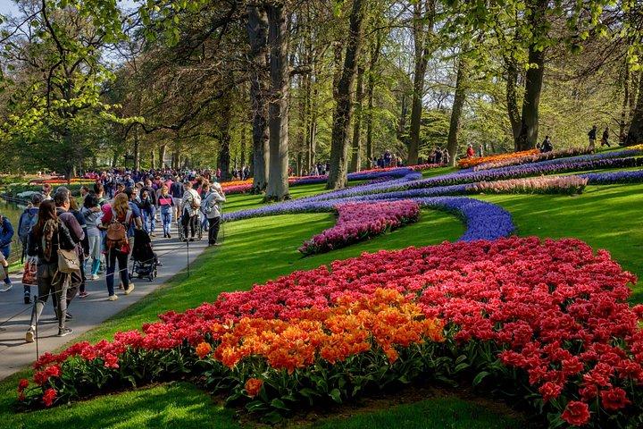 アムステルダム発キューケンホフ公園とチューリップ畑の優先入場ツアー