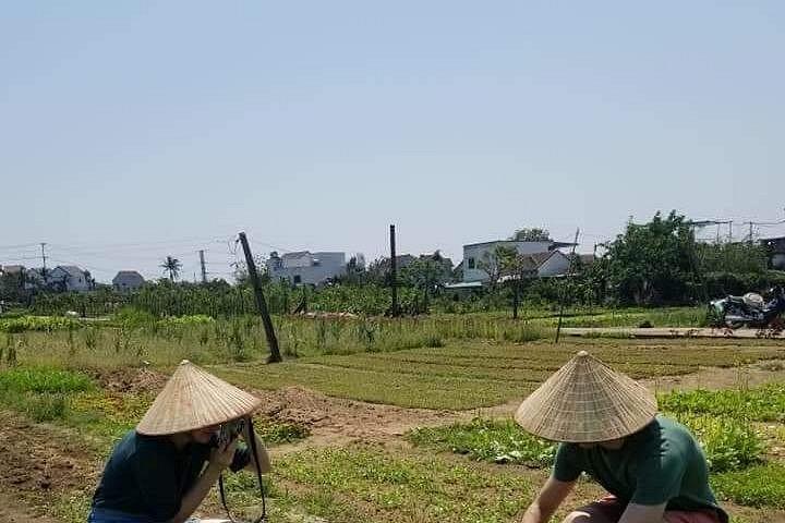 料理教室 (地元の市場訪問、Tra Que 野菜村ツアー、料理)