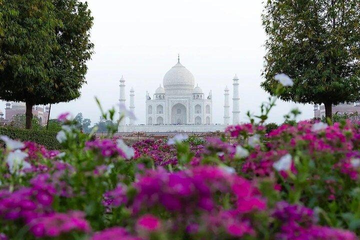 Taj Mahal och Agra Fort Tour från Delhi