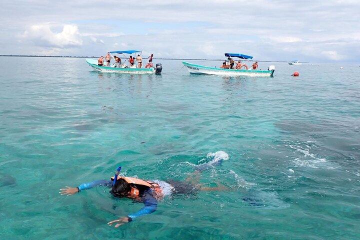 シアン・カアン・ボート・ライド-リビエラ・マヤ発終日ツアー