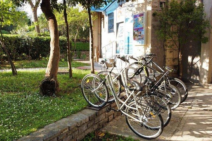 Rent Bicycle in Kotor