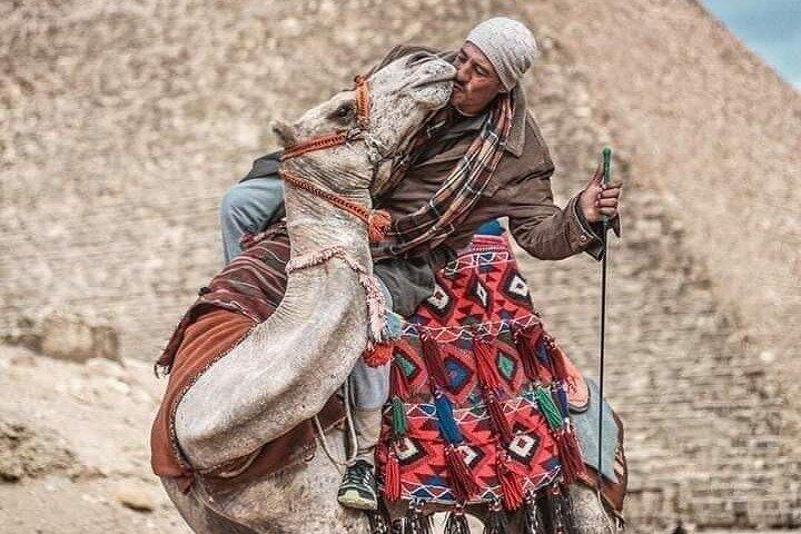 Tour guidato privato del Cairo, delle piramidi e del museo