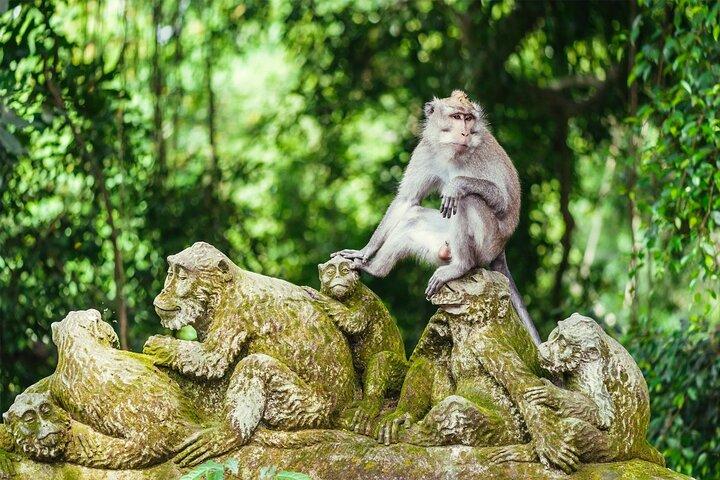 ウブドツアー：モンキーフォレスト、滝、寺院、棚田