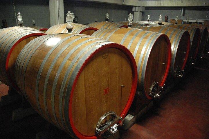 ワインの試飲と軽いランチでサレントのワイナリーを訪問レッチェから