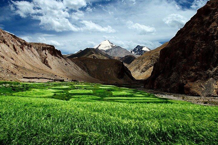Nella meravigliosa terra del Kashmir
