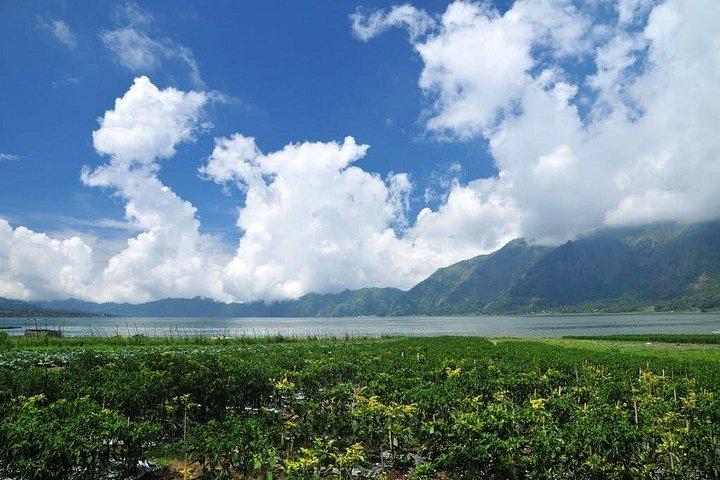 バトゥール山でのマウンテンバイクレンタル