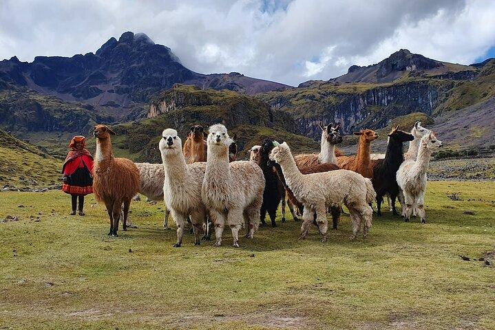 4 jours Lares Trek au Machu Picchu