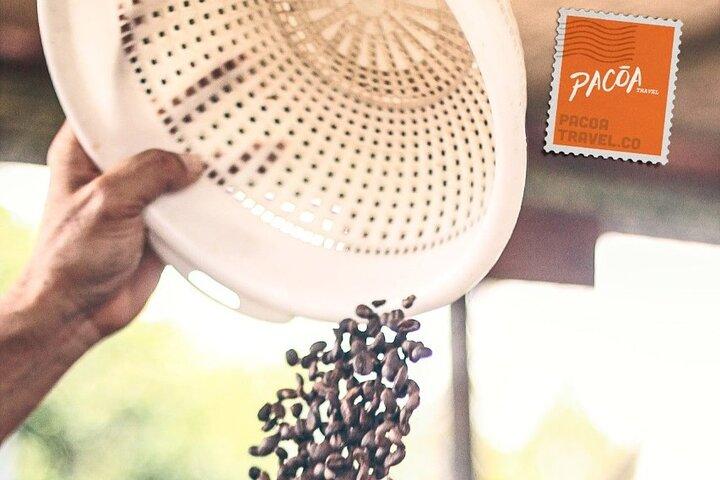 Coffee Heritage, en multisensorisk upplevelse