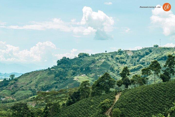 Coffee Heritage, en multisensorisk upplevelse