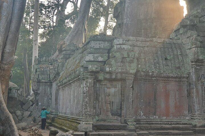 Tour privato dei templi da non perdere con guida e tuk tuk