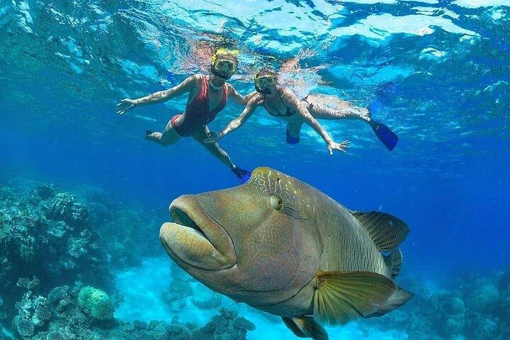 Luxor to Red Sea Hurghada - Full Day Tour Snorkeling Adventure
