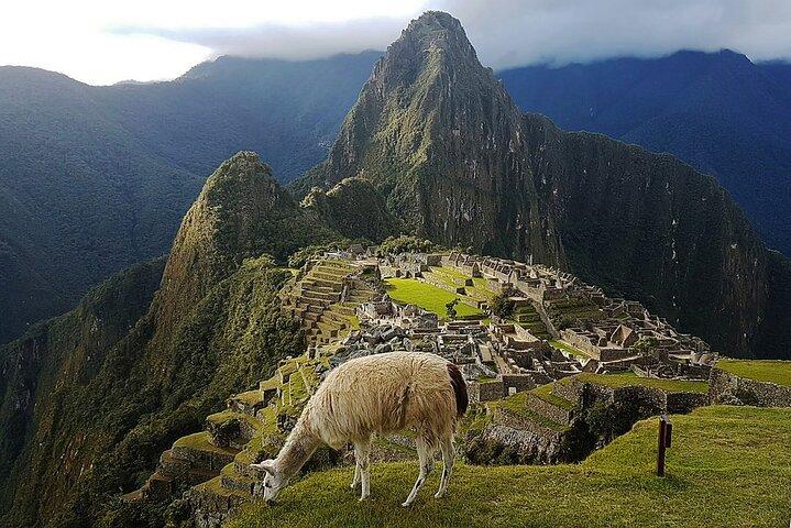 Machu Picchu spécial de 5 jours et points forts de Cusco