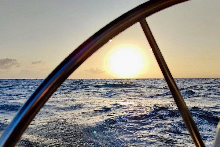Activated Sailing trip 2 hours from Puerto de Banús Marbella