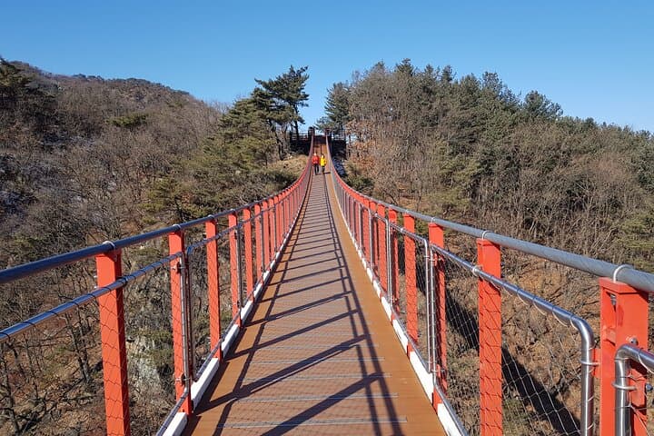 Premium Private DMZ Tour & (Suspension Bridge or N-Tower) include lunch