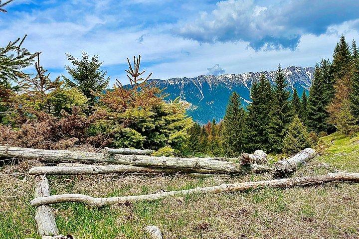 Rambling in Transylvania
