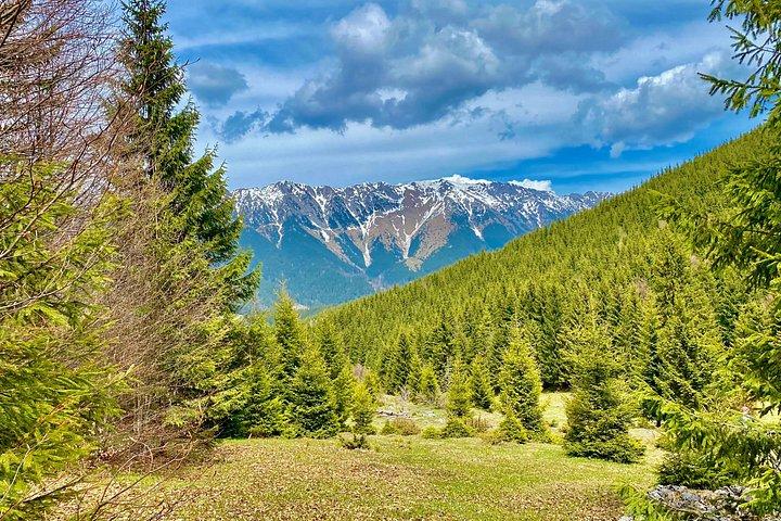 Rambling in Transylvania