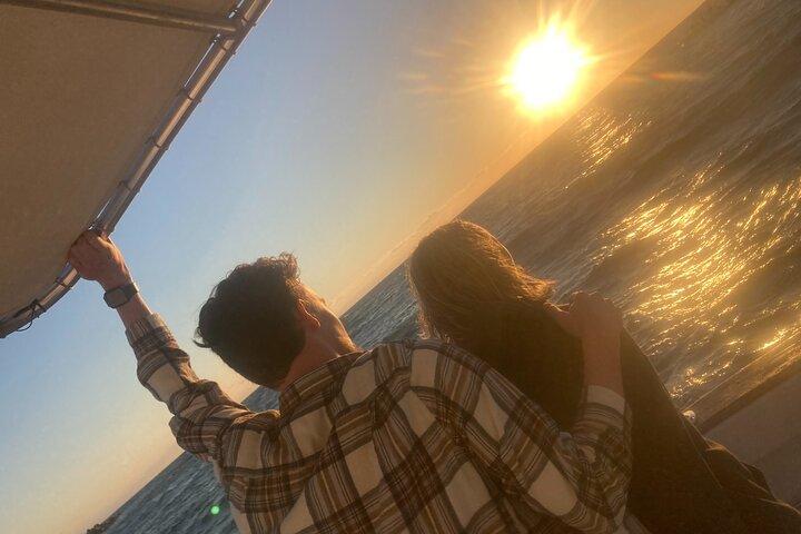 2 Hour Private Dolphin Sightseeing Tour