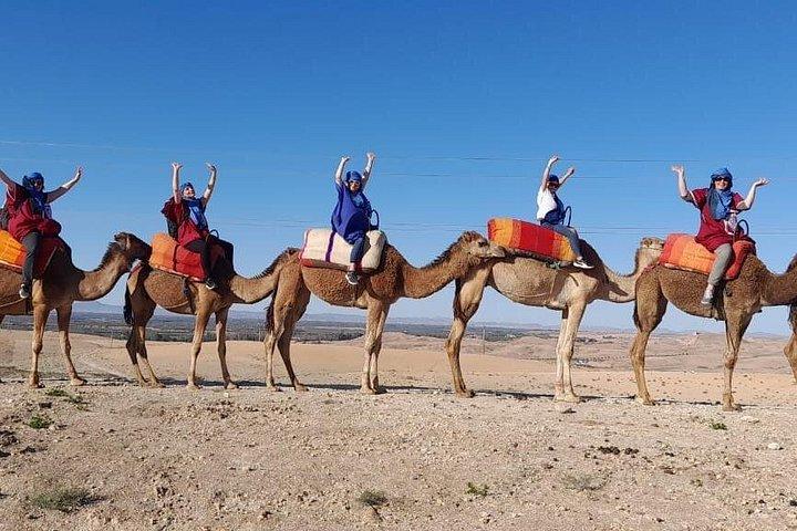 アガファイ砂漠のサンセット ディナーとラクダ乗り