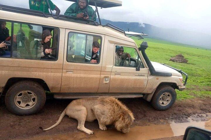 4 Días / 3 noches Tarangire, Serengeti y cráter Ngorongoro