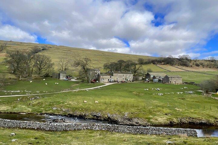 Visite privée «Toutes les créatures, grandes et petites» dans les Yorkshire Dales au départ de Harrogate