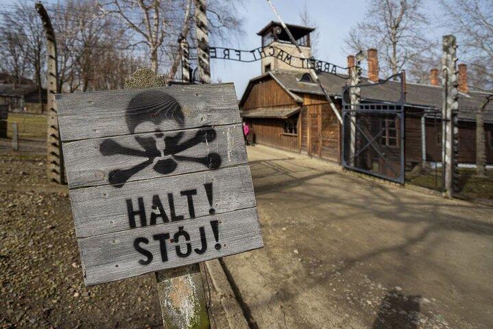 Fra Kraków: Auschwitz-Birkenau tur med afhentning