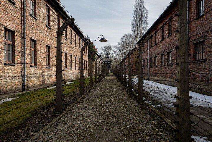 Fra Kraków: Auschwitz-Birkenau tur med afhentning