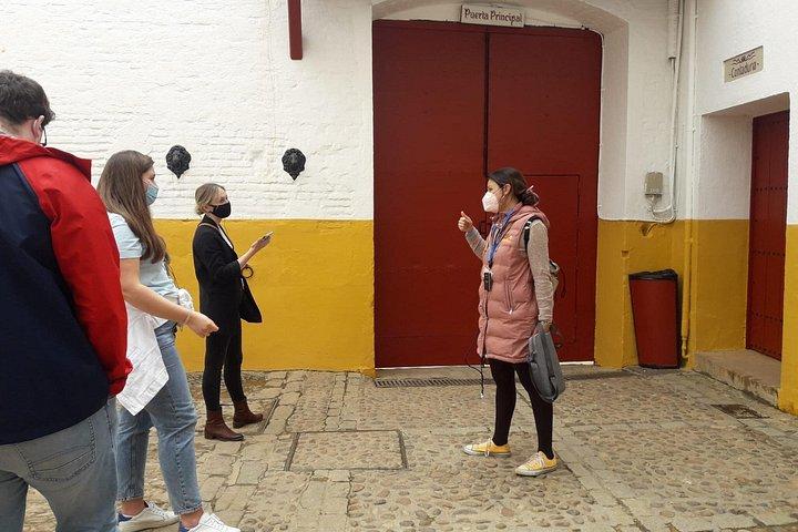 Seville Bullring: Guided Tour with Direct Entry