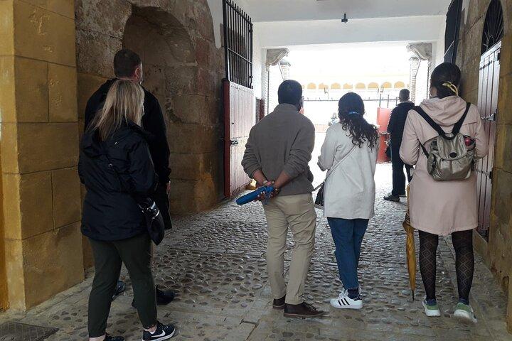 Arènes de Séville : visite guidée avec entrée directe