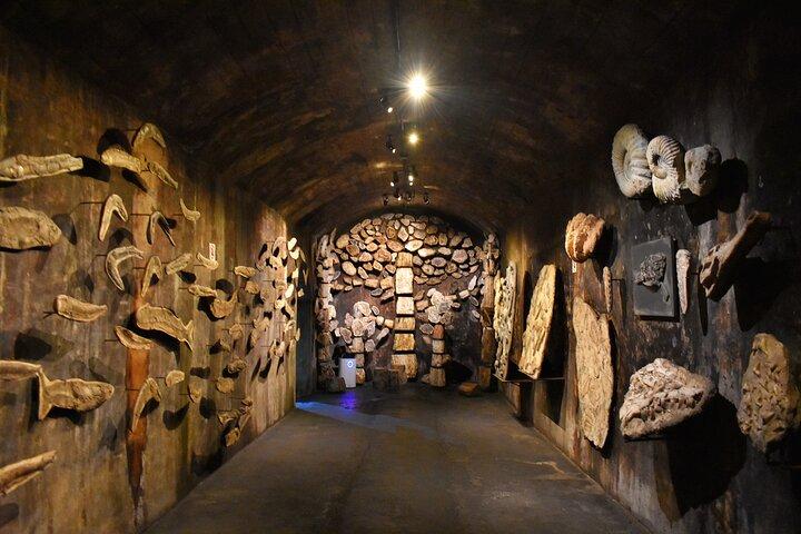 Aliança Underground Museum e Mata do Bussaco - Coimbra