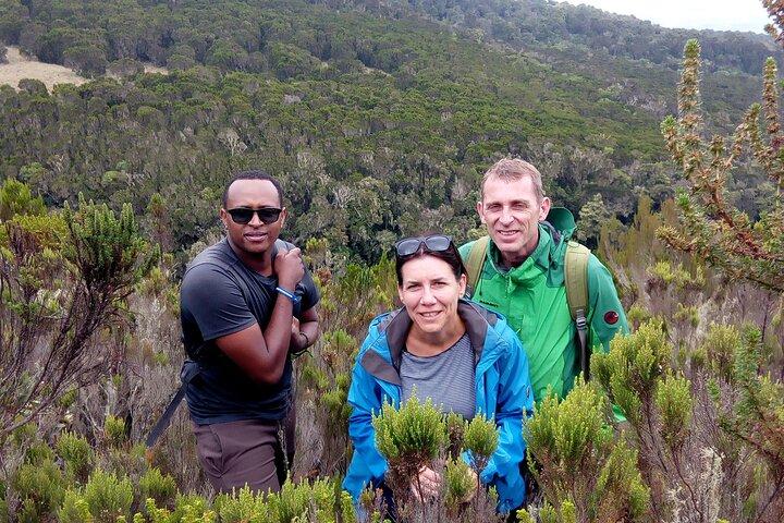 Kilimanjaro 1 dags vandretur