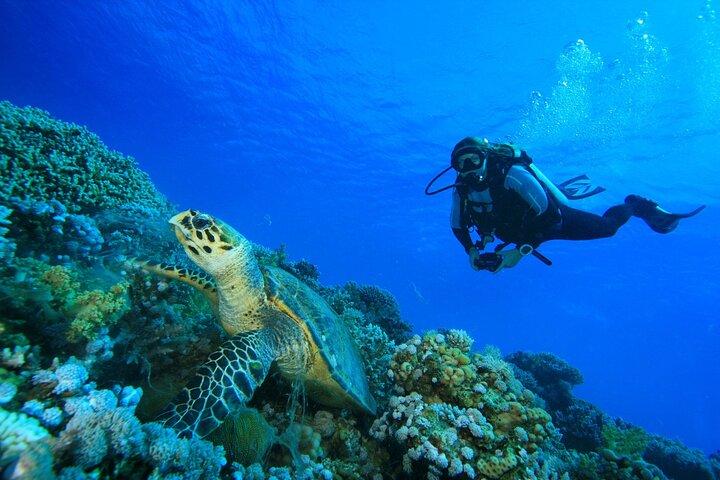 SSI | Curso de aguas abiertas de Padi en Phuket