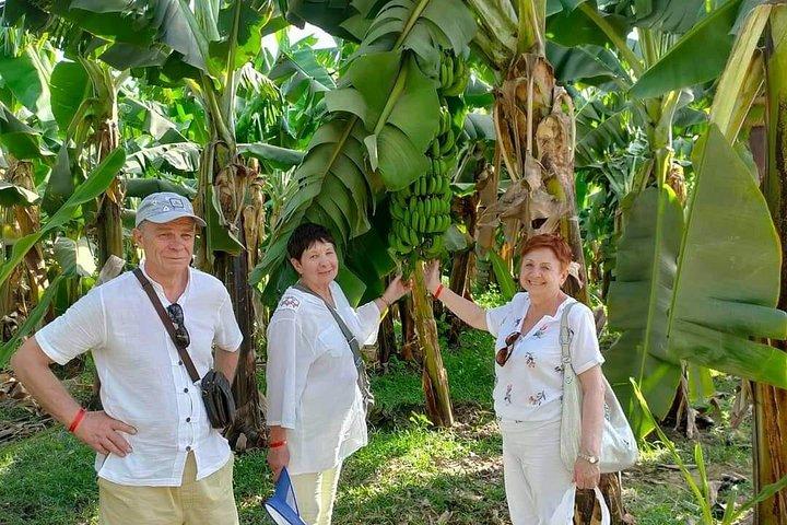 サファガ国際港からのルクソールハイライトへの2つの王室の日帰り旅行