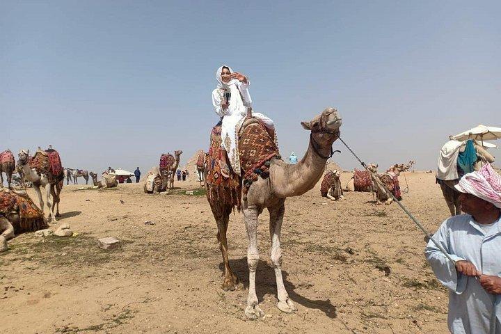 サハラギザのピラミッド周辺の乗馬またはラクダ乗りツアー
