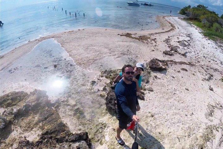 マイアミ発フロリダ キー プライベート アイランズ限定日帰り旅行 (アクティビティ付き)