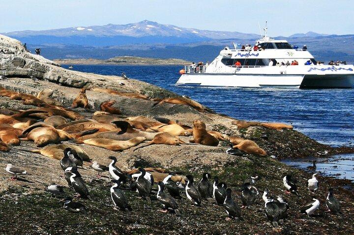 Navigation til Beagle Channel og Sea Lions Island med overførsler