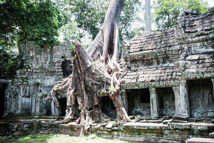 2-Day Siem Reap Angkor Bicycle Experience