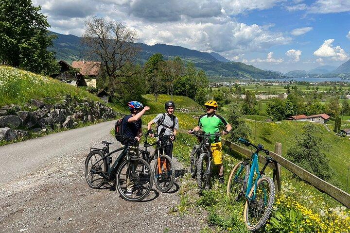 Visite guidée des 4 lacs en vélo électrique et croisière sur le lac