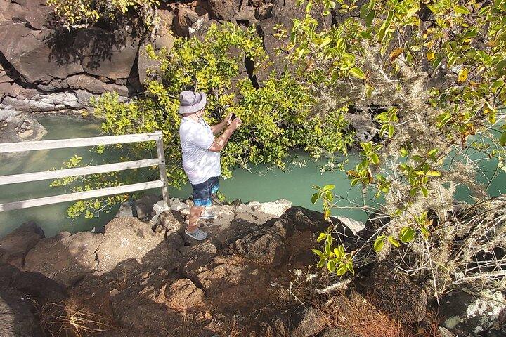 Galapagos- Santa Cruz Explorer 4 dagar