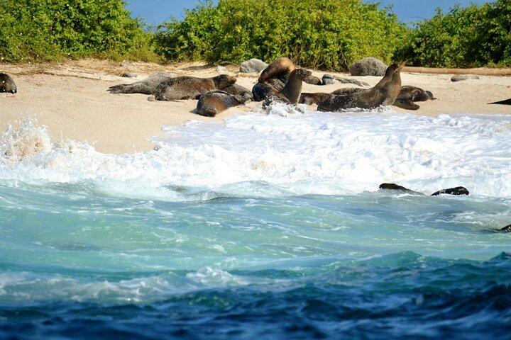 Das Beste von Peru und Ecuador – 14 Tage und 13 Nächte