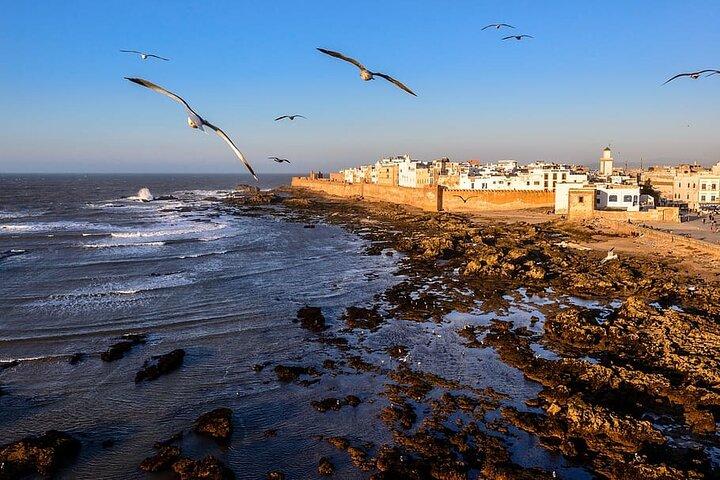Private Essaouira Tour : UNESCO Coastal Heritage & Seaport