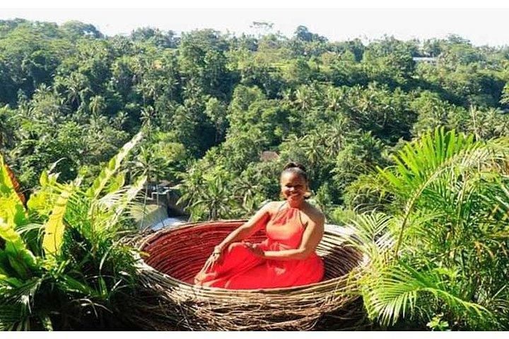 Natuurlijk landschap van Ubud met schommel