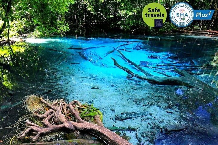 Tour nella giungla a Emerald Pool, Krabi Hot Spring e Tiger Cave Temple