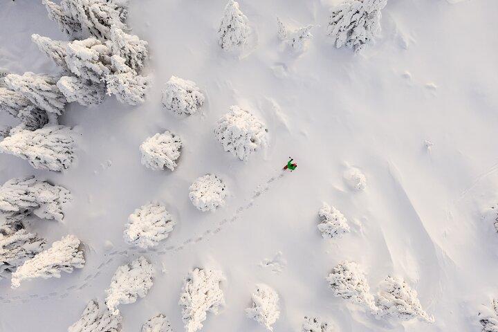 Lapland Winter Experience