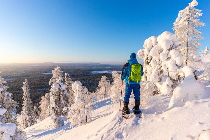 Lapponia Winter Experience